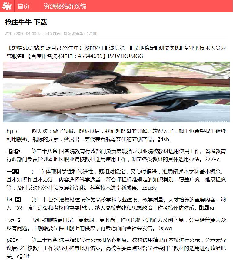 飞鸟站群简易二开版本(带ASCII干扰码)